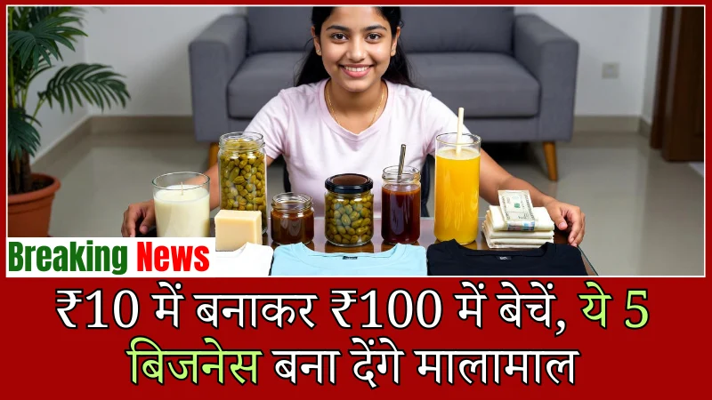 Low Investment Business Idea: ₹10 में बनाकर ₹100 में बेचें, ये 5 बिजनेस बना देंगे मालामाल